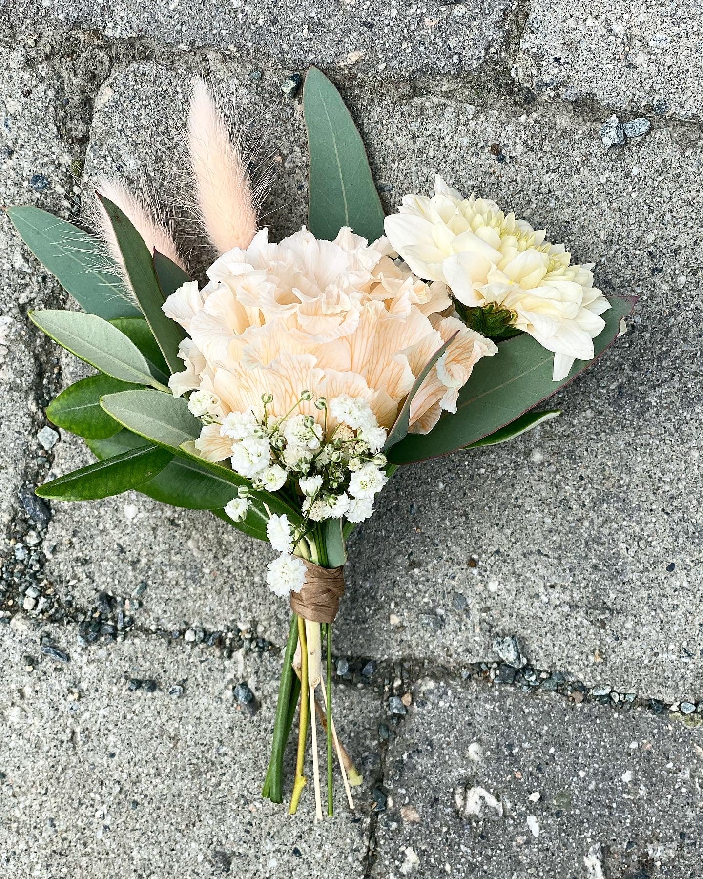 Knapphullsblomst