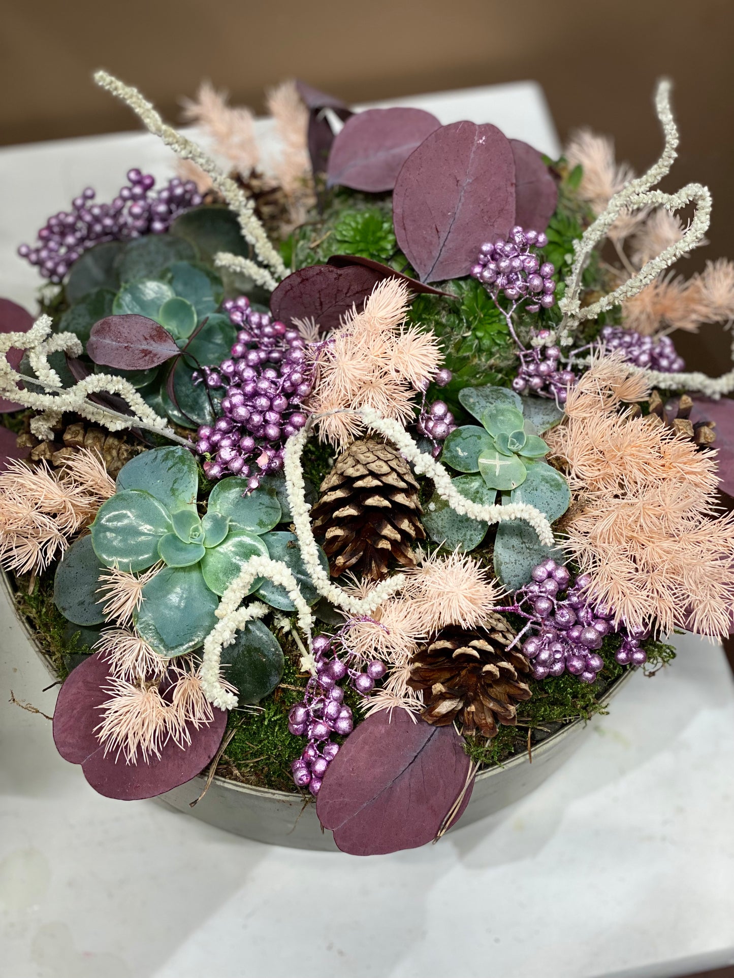 Plantegruppe til advent