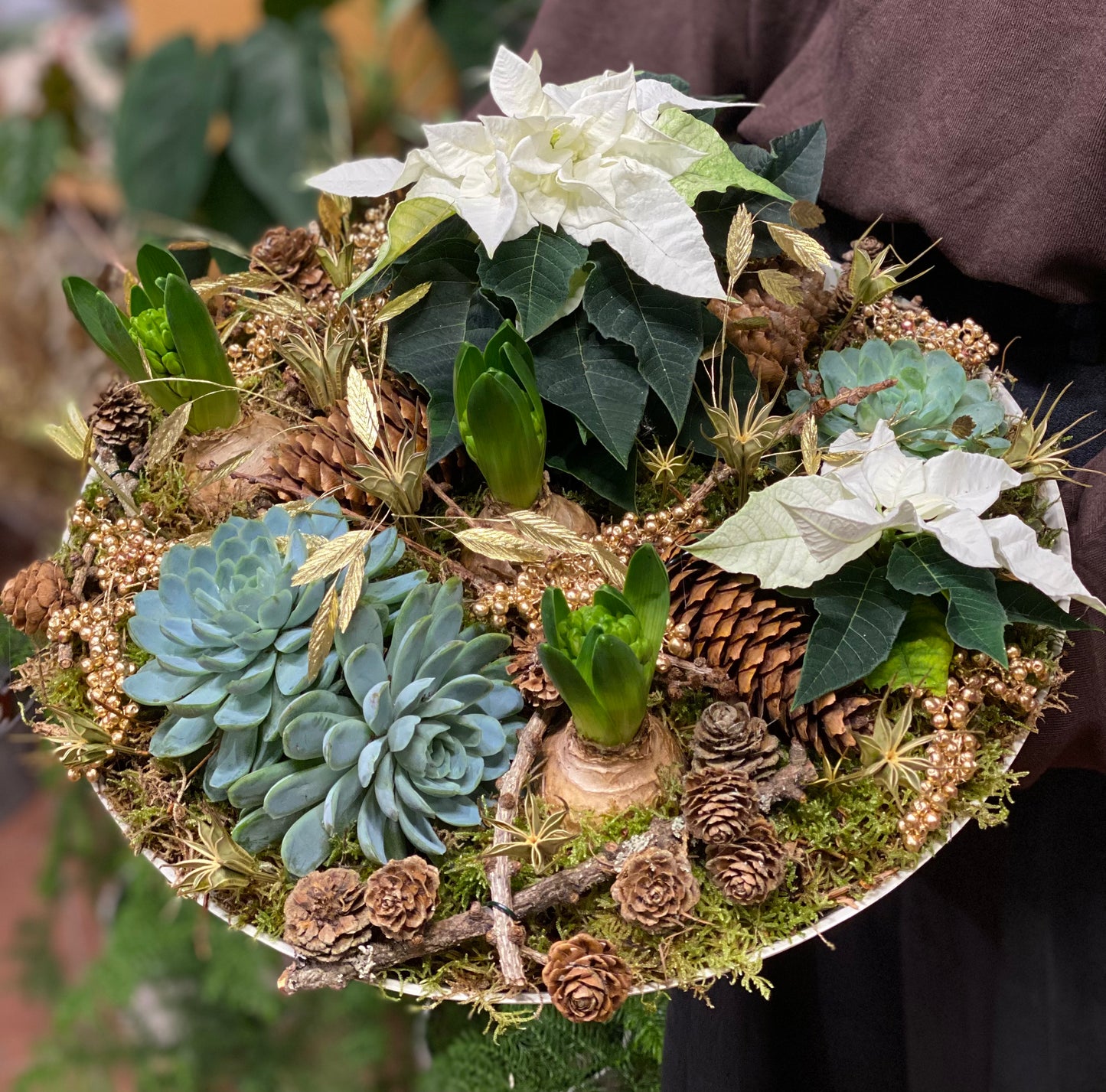 Stort julefat - plantegruppe