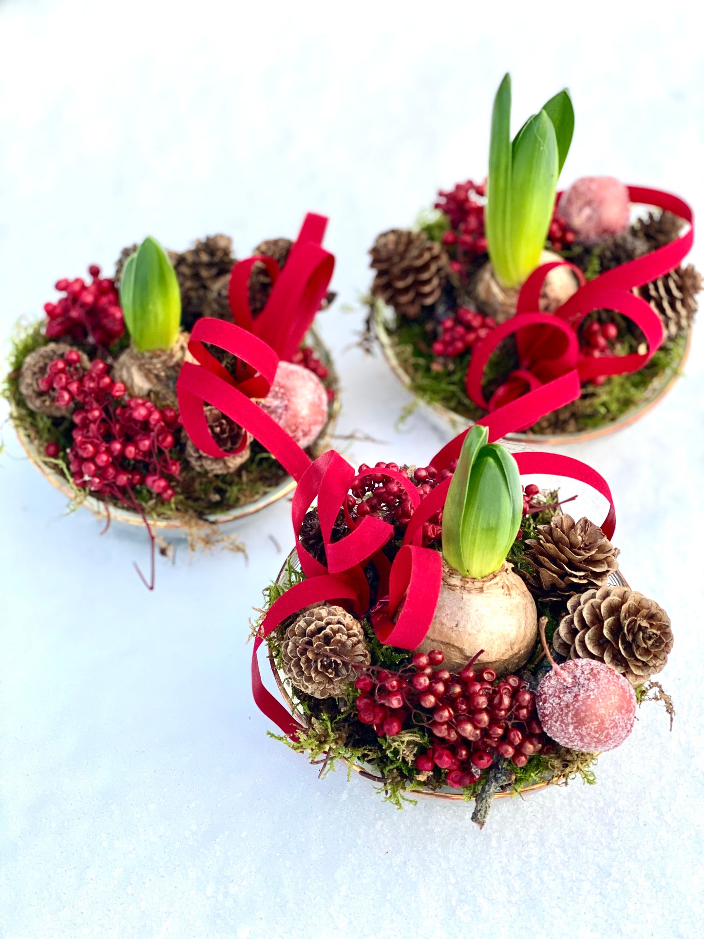 Pyntet svibel i glass